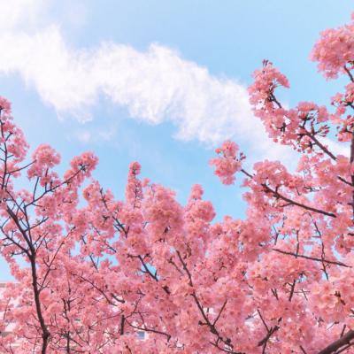 拜游霸王修仙手机版(暂未上线)v1.0.0 安卓版