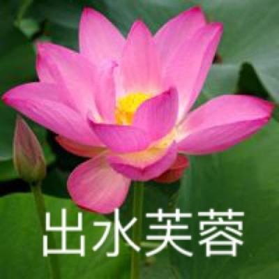 传奇霸业破解游戏下载